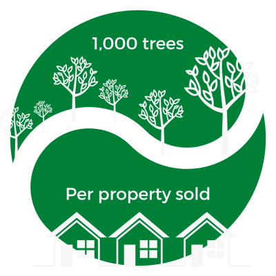 trees and property